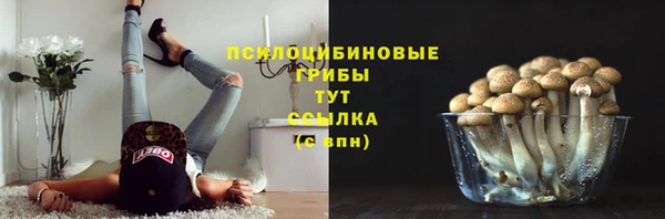 таблы Дмитриев
