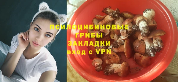 прущая мука Балахна