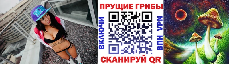 Галлюциногенные грибы Psilocybe  Макарьев 